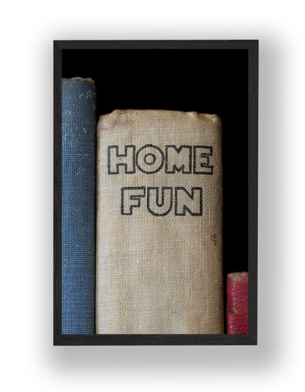 A framed photo of three upright books, with the center book titled "Home Fun" in large block letters on its spine.