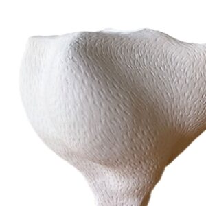Close-up of a textured white object with curved, bulbous shape against a plain background.