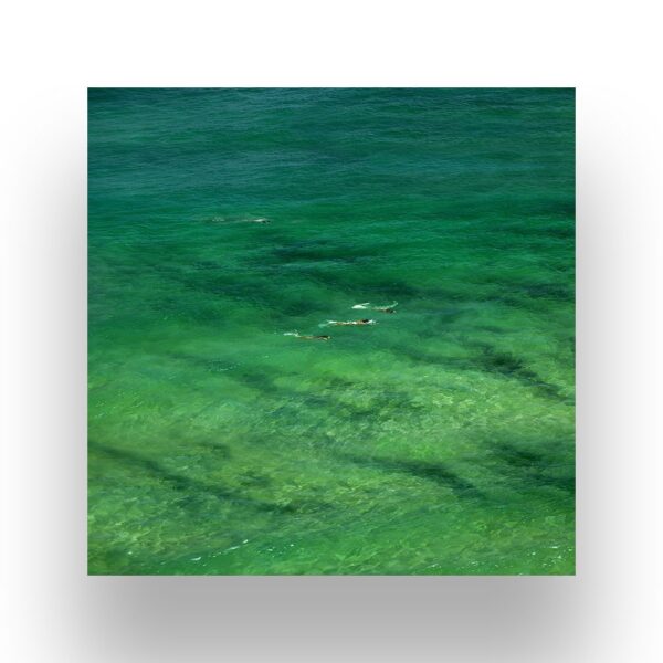 Aerial view of clear green ocean water with several dolphins swimming near the surface.