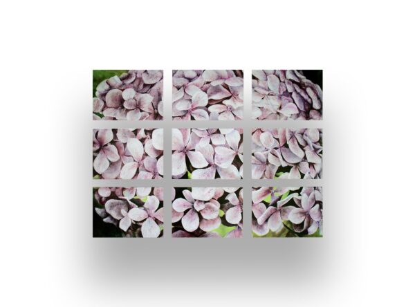 A nine-panel grid showing close-up sections of pale pink hydrangea flowers with green leaves partly visible in the background.