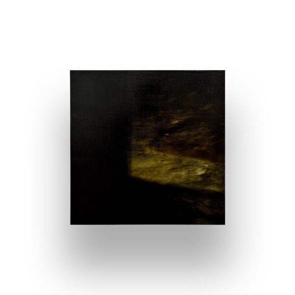 A mostly dark abstract painting with a shadowy black area and a muted, yellowish brown illuminated section near the center, set against a plain white background.