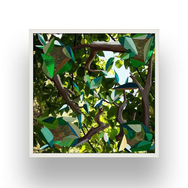 Energy Tree, Waitītiko Creek