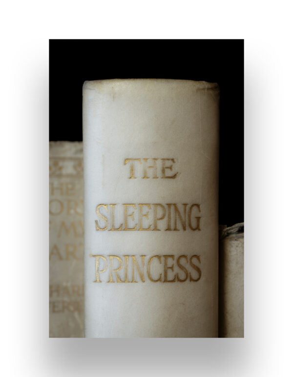 THE SLEEPING PRINCESS